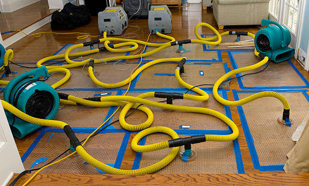 Professional Emergency Water Removal technician working in Allen, MI